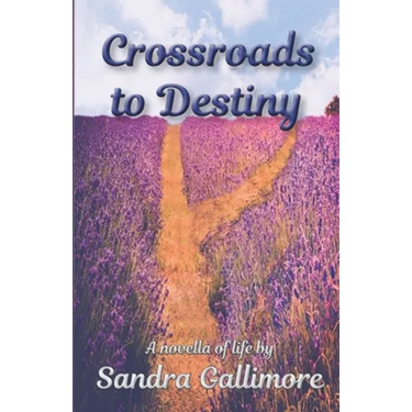 Crossroads to Destiny: A Novella of Life