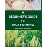 A Beginner's Guide to Rice Farming: How to Start a Rice Farm, Step-by-Step Approach