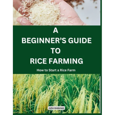 A Beginner's Guide to Rice Farming: How to Start a Rice Farm, Step-by-Step Approach