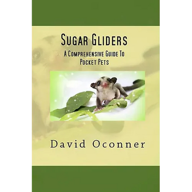 Sugar Gliders