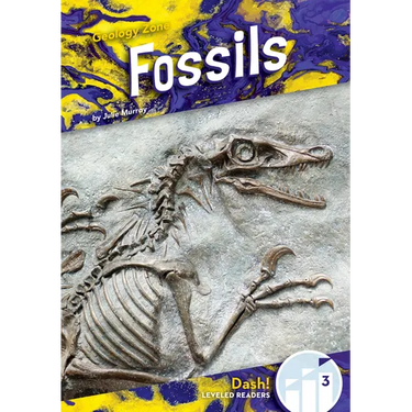 Fossils