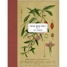 Vintage Botany Prints: Vol. 2