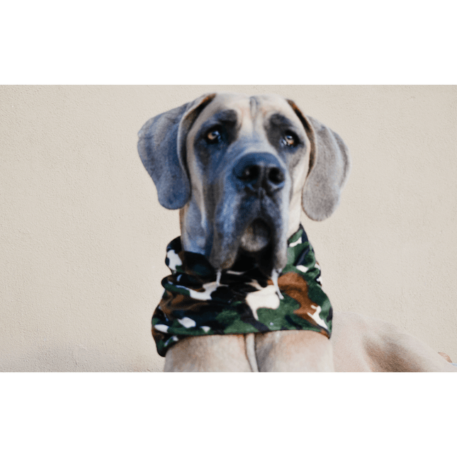 Can't See Me Camo Dog Scarf by Dope Dog Co - Vysn