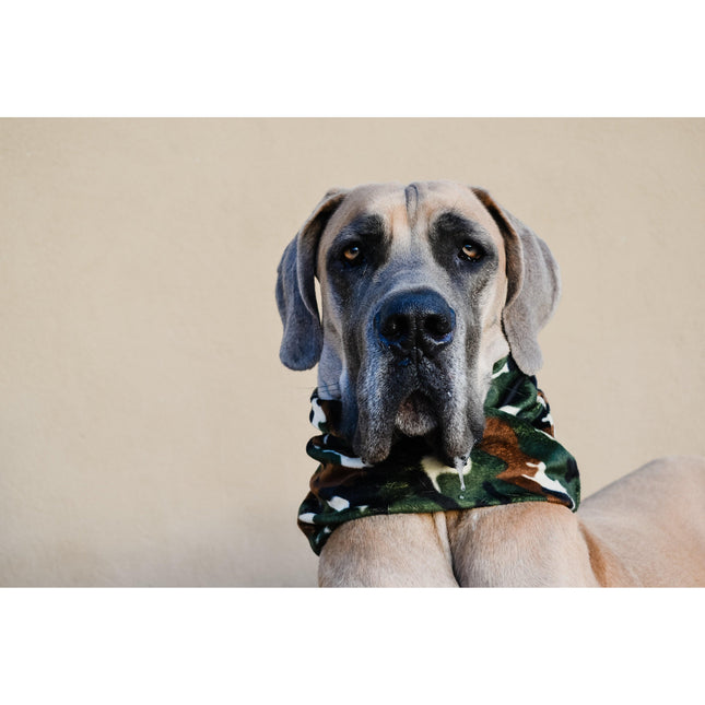 Can't See Me Camo Dog Scarf by Dope Dog Co - Vysn