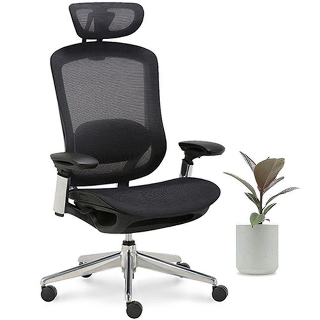 CeliniChair - Ergonomic Chair by EFFYDESK - Vysn