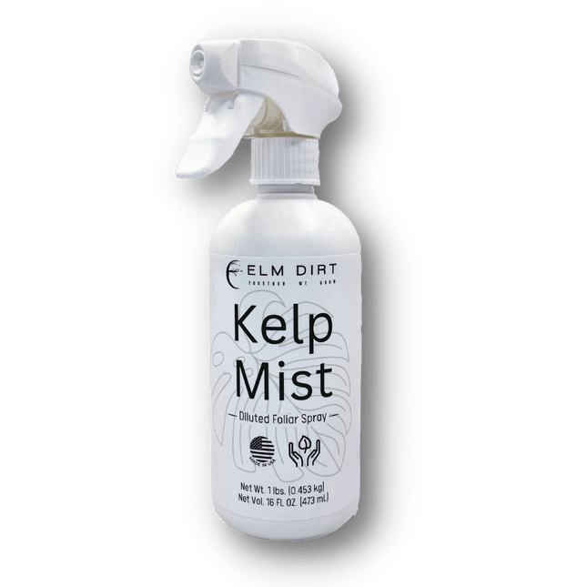 Kelp Mist by Elm Dirt - Vysn