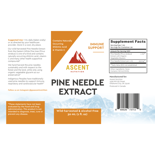 Pine Needle Extract by Ascent Nutrition - Vysn