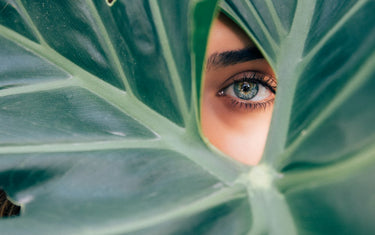 Sustainable Fashion: Environmentally Friendly Brands Making a Difference