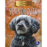 Schnoodles