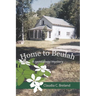 Home to Beulah: A genealogy mystery