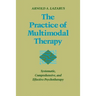 Practice of Multimodal Therapy: Systematic, Comprehensive, and Effective Psychotherapy