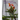 Butterfly Gardens and Raising Butterflies: The Story of How We Started Our Butterfly Garden... and Other Bits of Information