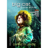 Big Cat: And Other Stories