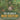 The Life Cycle of Naked-Seed Plant Life Cycle Books Grade 5 Children's Biology Books