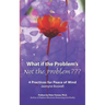 What If the Problem's Not the Problem: 4 Practices for Peace of Mind