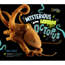 Mysterious, Marvelous Octopus!