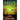 Green Flash at Sunset