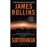 Subterranean: A Thriller