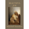 Beautiful Joe