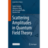 Scattering Amplitudes in Quantum Field Theory
