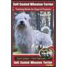 Soft Coated Wheaten Terrier Training Book for Dogs & Puppies by BoneUp Dog Training: Are You Ready to Bone Up? Simple Steps Fast Results Soft Coated W