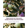 The Olive In Tuscany: Some Notes and Pictures