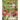 Garden to the Max: Joyful, Visionary, Maximalist Design
