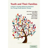 Youth and Their Families: A Guide to Treating Adolescent Substance Use Through Family Systems Therapy