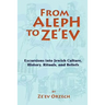 From Aleph to Ze'ev: Excursions into Jewish Culture, History, Rituals, and Beliefs