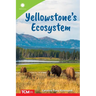 Yellowstone's Ecosystem