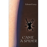 Came a Spider