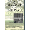 A Diamond on The Wall: Memoir of The Youngest Green Beret in Vietnam (1967-1968)