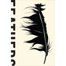 Feathers: The Evolution of a Natural Miracle