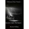 Secrets Under the Stairs