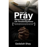 How to Pray When Facing a Life-Threatening Illness: Powerful Bible Reflections and Promises to Heal Sickness, Boost Strength and Encourage Your Faith