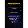 Prime Numbers, The Holy Grail Of Mathematics: A Brief Introduction to Prime Numbers