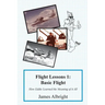 Flight Lessons 1: Basic Flight: How Eddie Learned the Meaning of it All