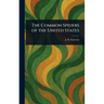 The Common Spiders of the United States