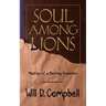 Soul Among Lions: Musings of a Bootleg Preacher