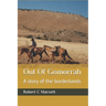 Out Of Gomorrah: A story of the borderlands