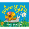 A Surprise for Snail