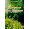 Sunbeams from the Heart: A Collection of Twelve Romantic Short Stories