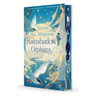 The Rainshadow Orphans: The Rainshadow Series, Book One