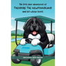 The First Year Adventures Of Theodore The Newfoundland And His White Socks