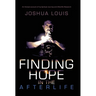 Finding Hope in the Afterlife: An Honest Account of My Spiritual Journey and Afterlife Research