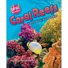 Coral Reefs: Undersea Rainbows