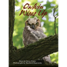 Owlvin Wises Up