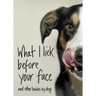 What I Lick Before Your Face: And Other Haikus by Dogs