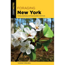 Foraging New York