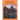 In God's Creation Animals of the Desert A Book for Kids of All Ages